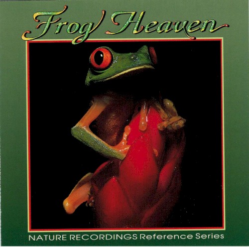 Frog Heaven