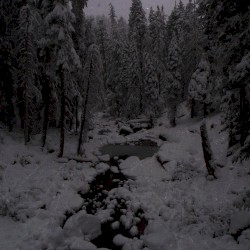 Dyatlov’s Creek