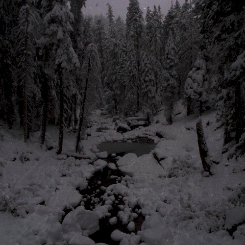 Dyatlov’s Creek