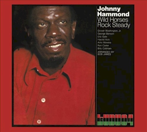 Wild Horses/Rock Steady