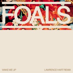 Wake Me Up (Lawrence Hart remix)