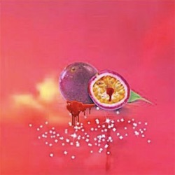 GinPassion