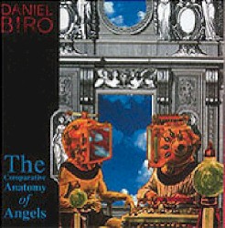 The Comparative Anatomy of Angels