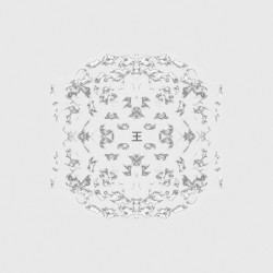 Shadow Instrumental