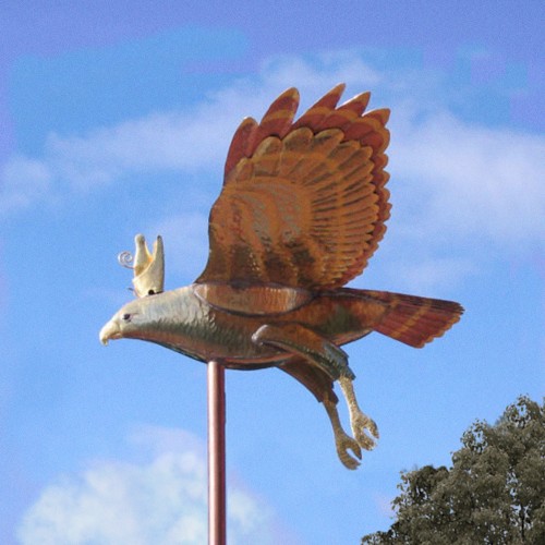 The Flight of the Crown Hawk