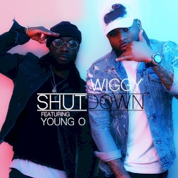 ShutDown