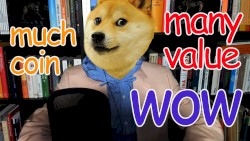 Wohlstand für Alle #81, „Bitcoin, Dogecoin: das neue Gold?“