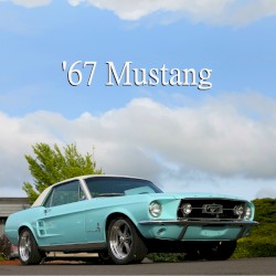 ’67 Mustang