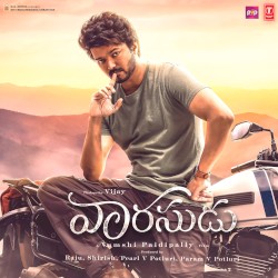 Vaarasudu