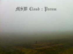 Parum