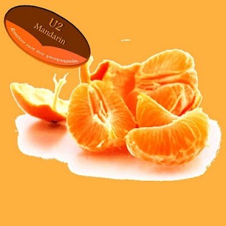 Mandarin: U2 Fruitleg Remixes Not for Propaganda
