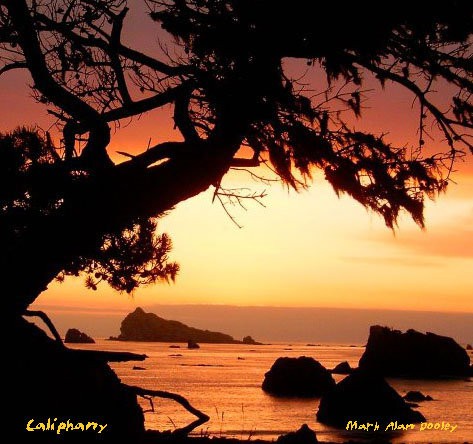 Caliphany