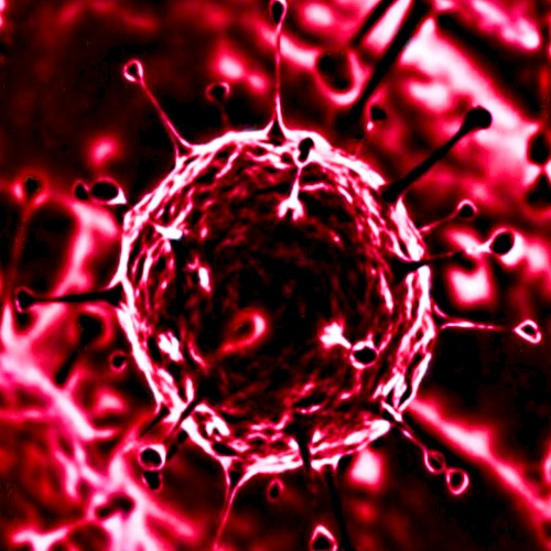 Lipstick Cherry Virus