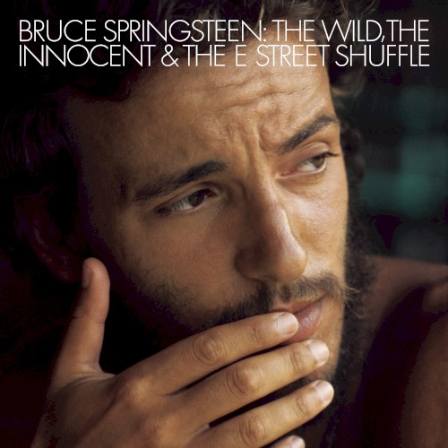 The Wild, the Innocent & The E Street Shuffle