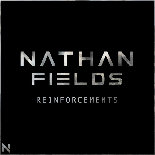Reinforcements