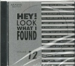 Hey! Look What I Found, Volume 12