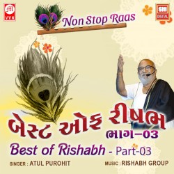 Best of Rishabh, Part 03: Non Stop Raas