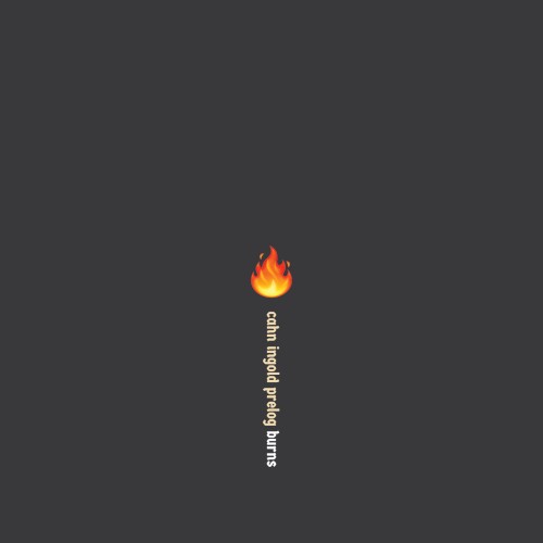 Burns