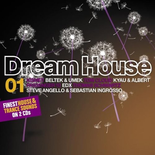 Dream House 01