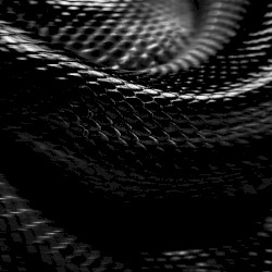 Snake // Resurrected