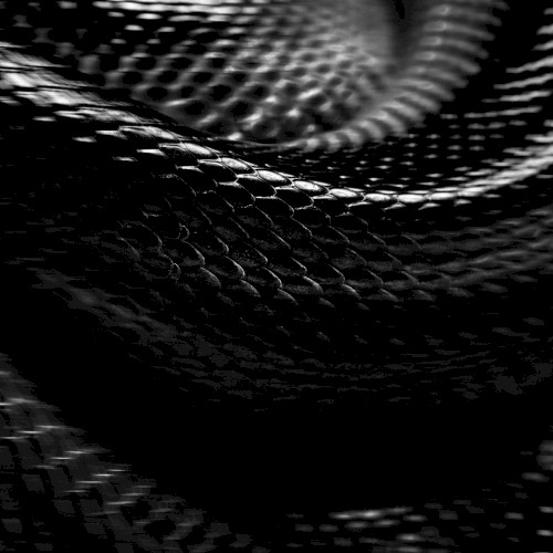 Snake // Resurrected