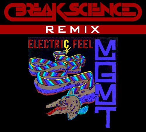 Electric Feel Remix