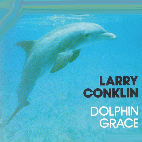 Dolphin Grace