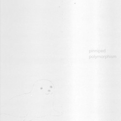 polymorphism
