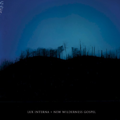 New Wilderness Gospel