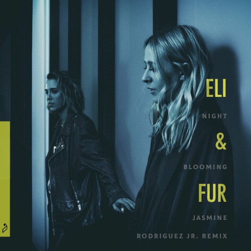 Night Blooming Jasmine (Rodriguez Jr. remix)