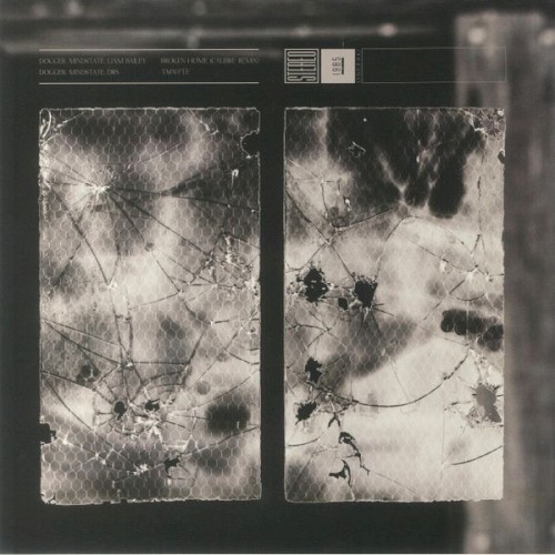 Broken Home (Calibre Remix) / TMWFTE
