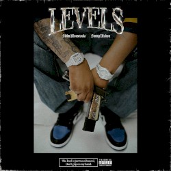 Levels