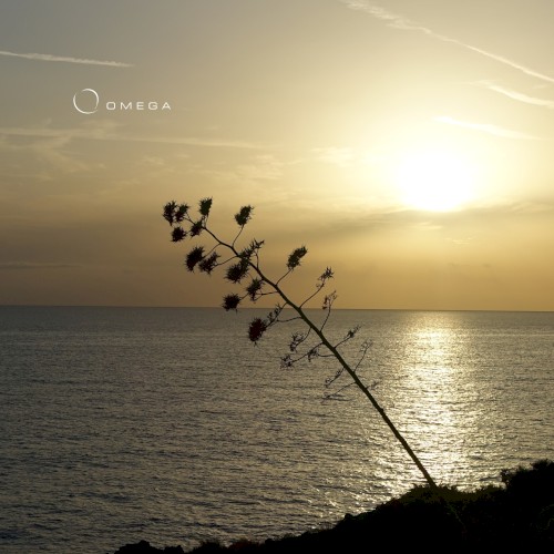 Iremia