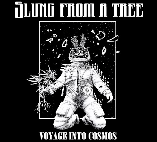 Voyage Into Cosmos