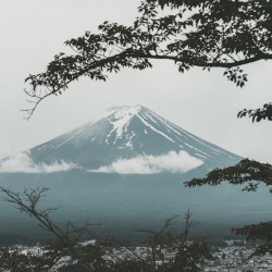 Fuji