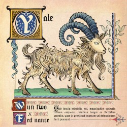 yale