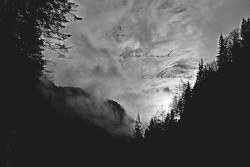 Too Distant Moans EP