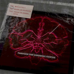 Through The Cerebral Cortex