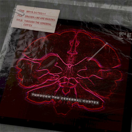 Through The Cerebral Cortex