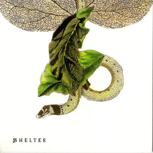Shelter