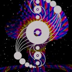 Mushroom Magic