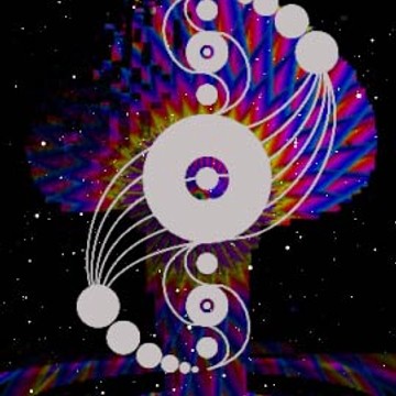 Mushroom Magic