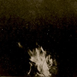 Black Dissimulation