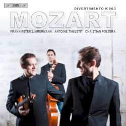 Divertimento K. 563
