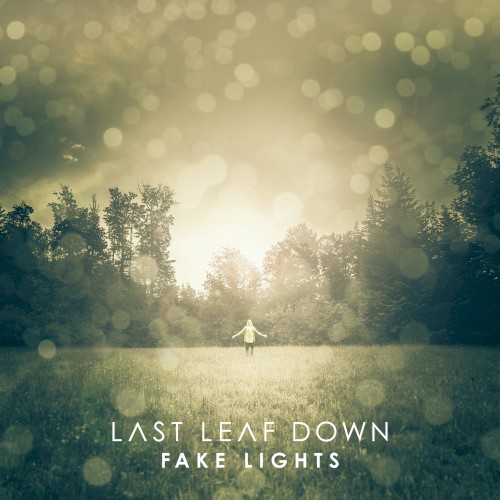 Fake Lights