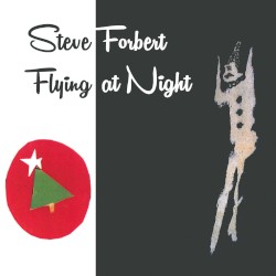 Flying At Night