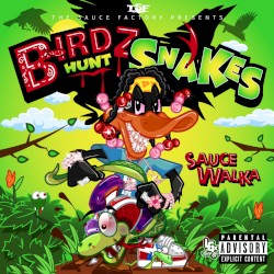 Birdz Hunt Snakes