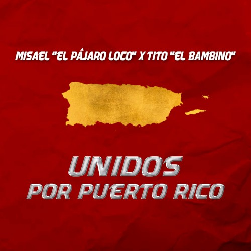 Unidos por Puerto Rico