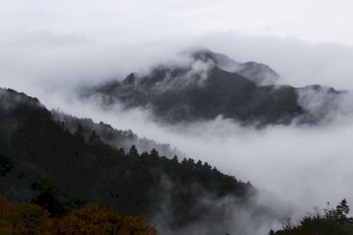 山の音 -Mountain Sound-