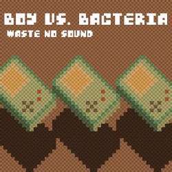 Waste No Sound
